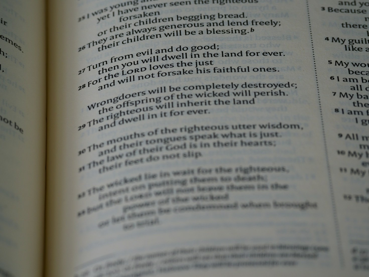 Understanding Spiritual Authority Through Scripture